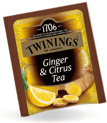 tea_bustine_ginger_citrus